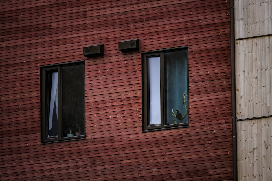 Modern home exterior featuring new windows